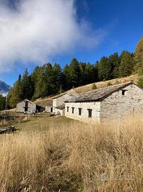 COMPLESSO A SALBERTRAND