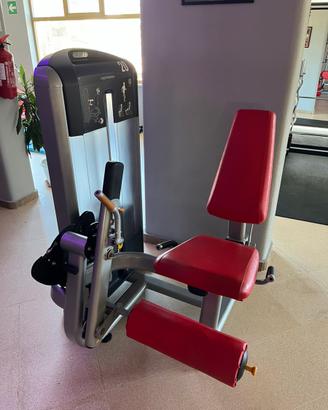 Leg extension PRECOR