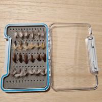 Scatola con mosche secche