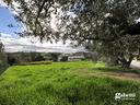 terreno-residenziale-gradara-lg014vrg-