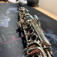 Clarinetto Ripamonti Sib Serie 310RR, Trattabile