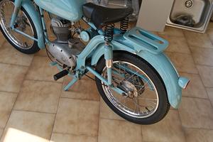 mv 50