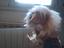 Immagine 5