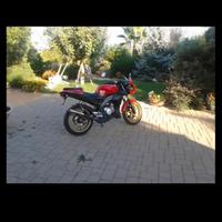 rs aprilia tuono 50 2007