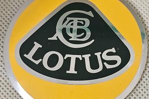 4 lentine lotus giallo cp113