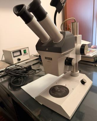 Microscopio Zeiss