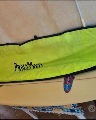 Tavola surf DIONFOAM