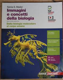 Libri Liceo Linguistico quarto anno