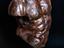 Immagine 6