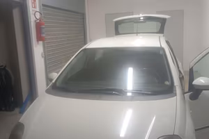 Fiat Punto evo 1.3 Multijet 75 CV
