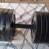 Manubri palestra