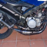 Marmitta passaggio basso Am6