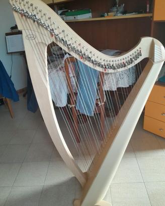 Arpa celtica Salvi Titan