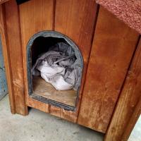 Cuccia per cane taglia media. Mai usata