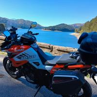 VALIGIE LATERALI MOTO SUZUKI V-STROM