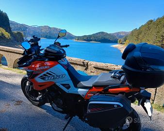 VALIGIE LATERALI MOTO SUZUKI V-STROM