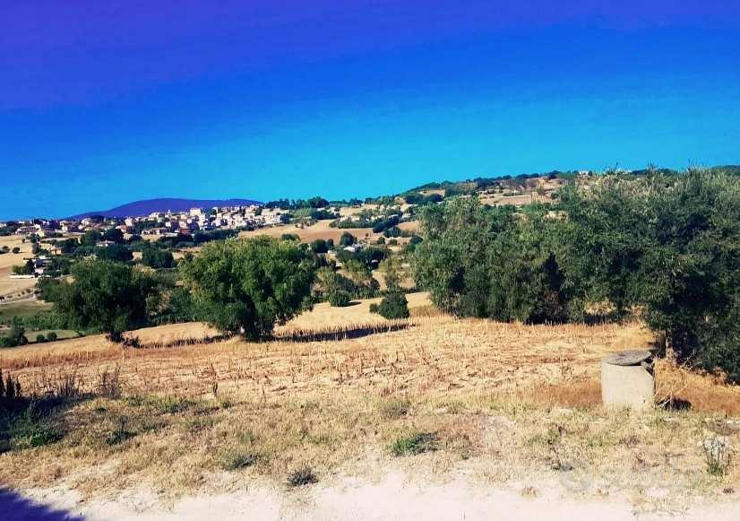 Castelfidardo, terreno, ulivi e vista mare - Vista 5