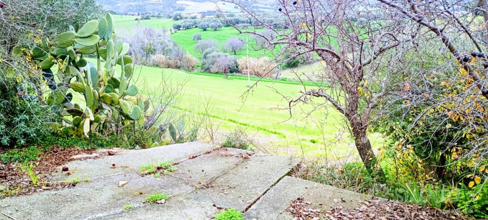 Terreno panoramico unico con casale rustico - Vista 5
