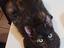 Immagine 6