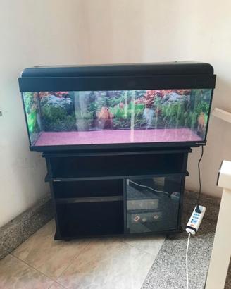 Acquario 120 litri