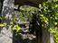 Immagine 26