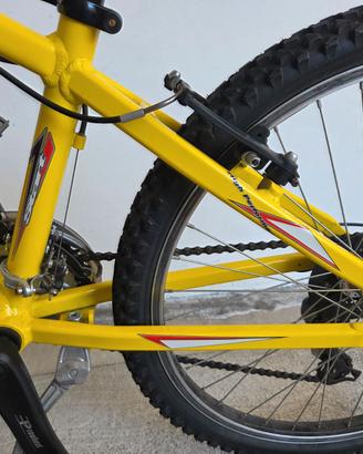 BICICLETTA MOUNTAINBIKE