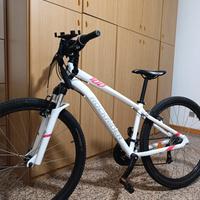 Rockrider 100 MTB