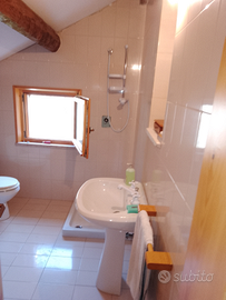 Rustico abitabile in Belluno