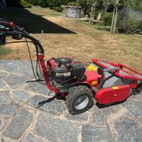 tagliaerba trinciasarmenti