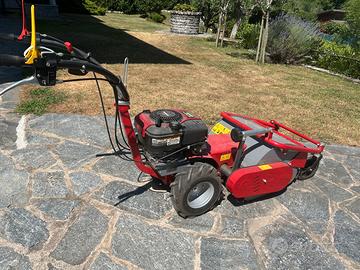 tagliaerba trinciasarmenti