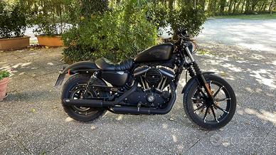 Harley-Davidson Sportster 883 - 2016