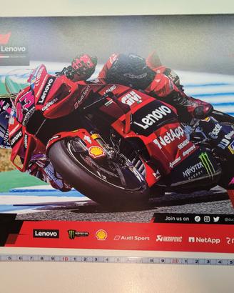 Enea Bastianini 23 ducati  2024 Pecco vr4