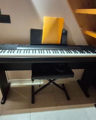 Casio Pianola 88 Tasti Pesati