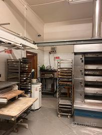 Panetteria/pasticceria/panificio/negozio