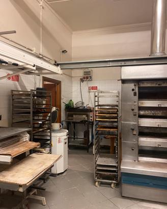 Panetteria/pasticceria/panificio/negozio