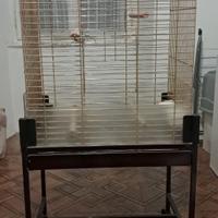 Gabbia per pappagalli con supporto e ruote