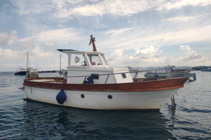 Barca gozzo vetroresina