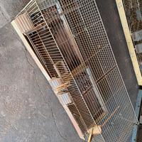 Gabbie per uccelli e accessori