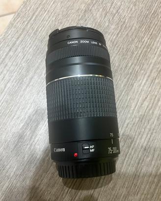 Obiettivo 75/300