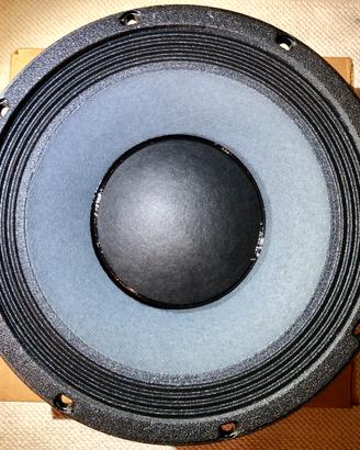 Coni SWR Goliath/Super Redhead 10” 8 Ohm EMINENCE