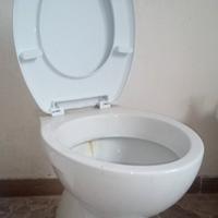 Gabinetto con tavoletta 