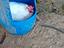 Immagine 2