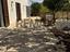Immagine 11