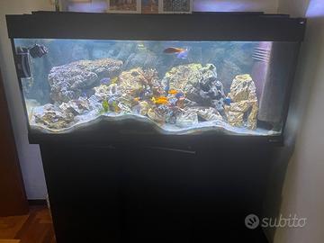 Acquario completo