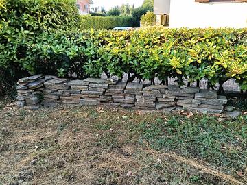 sassi piastrelle divisori per orto, giardino foto 