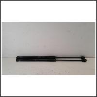 Ammortizzatori portellone post. dx EVO EVO3