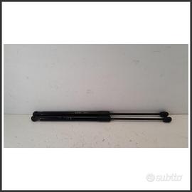 Ammortizzatori portellone post. dx EVO EVO3