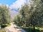 Immagine 29