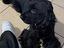 Immagine 3