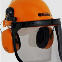 Elmetto protettivo forestale boschivo